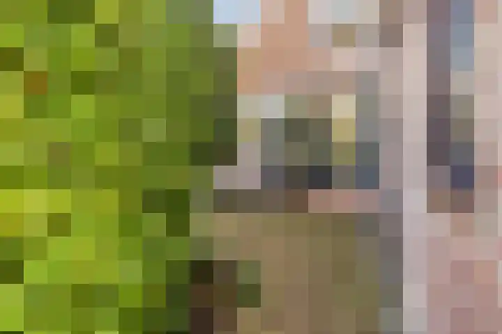Kreuzeveen 8 Vledder thumbnail 28