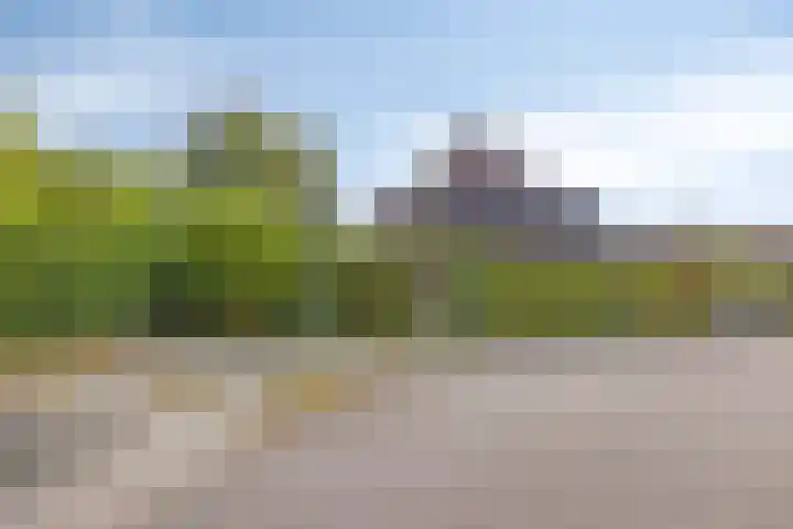 Kreuzeveen 8 Vledder thumbnail 29