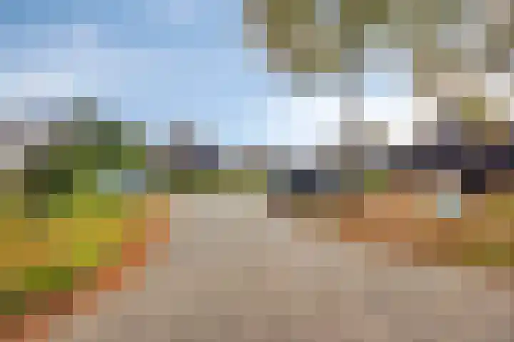 Kreuzeveen 8 Vledder thumbnail 30