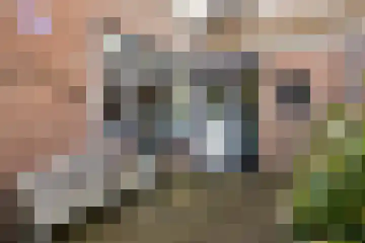 Kreuzeveen 8 Vledder thumbnail 4