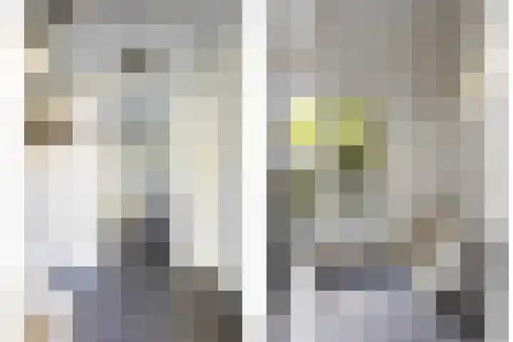 Kreuzeveen 8 Vledder thumbnail 5