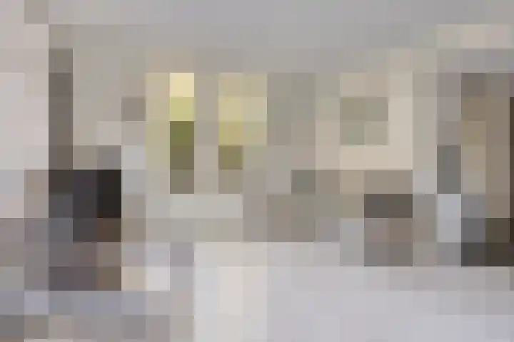 Kreuzeveen 8 Vledder thumbnail 7