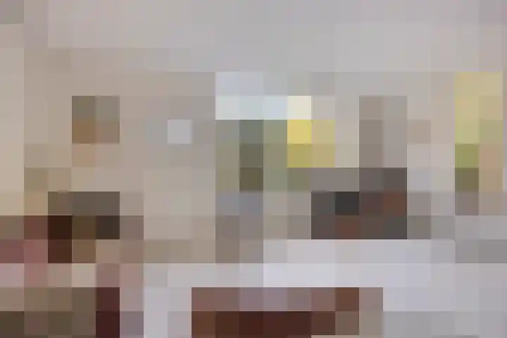 Kreuzeveen 8 Vledder thumbnail 8