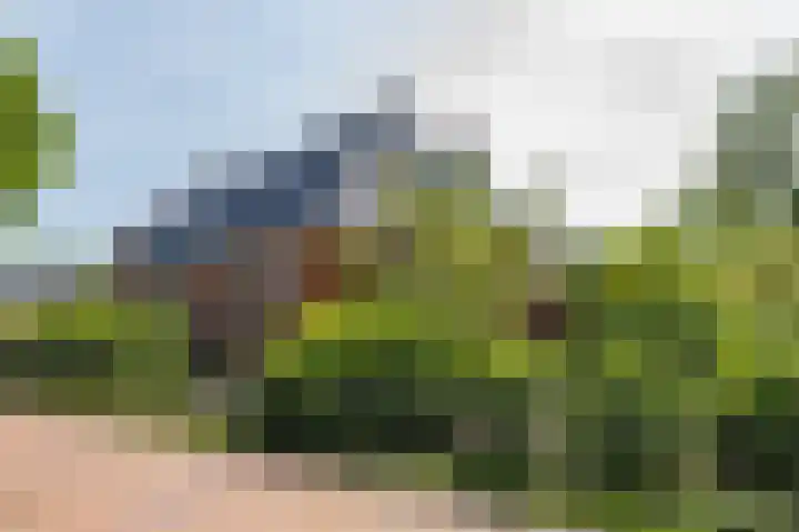 Krewerderweg 1 Holwierde thumbnail 10