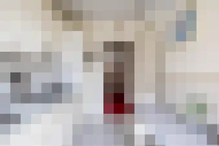 Krewerderweg 1 Holwierde thumbnail 27