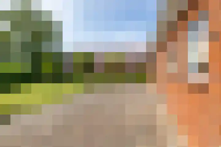 Krewerderweg 1 Holwierde thumbnail 56