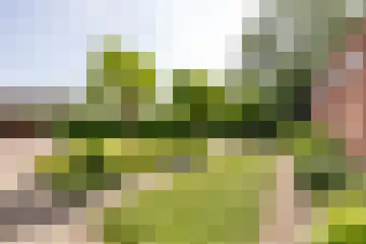 Krewerderweg 1 Holwierde thumbnail 57