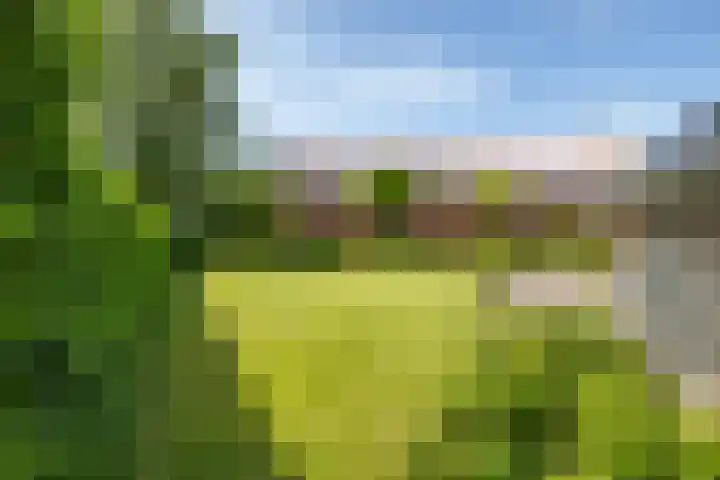 Krewerderweg 1 Holwierde thumbnail 64