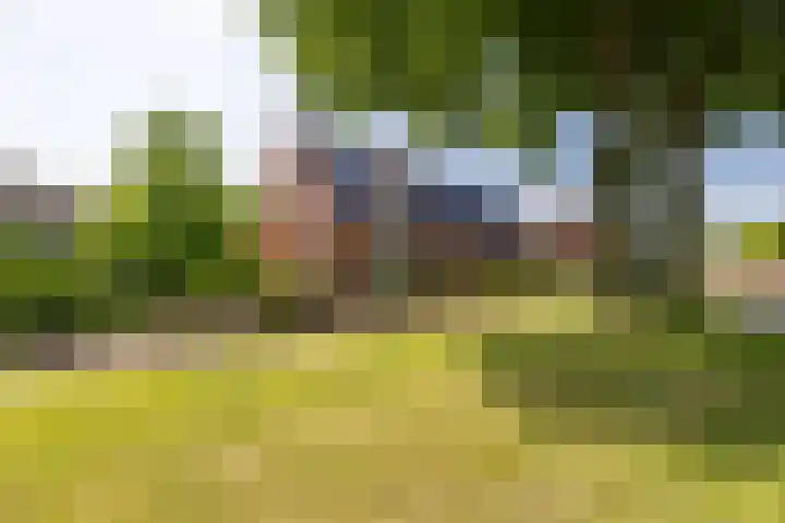 Krewerderweg 1 Holwierde thumbnail 8