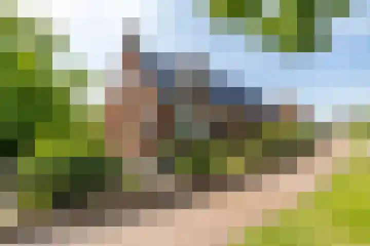Krewerderweg 1 Holwierde thumbnail 9