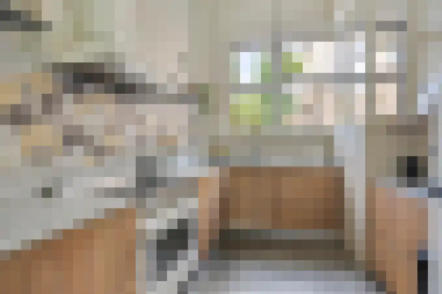 Kreynckstraat 11 Zutphen thumbnail 12