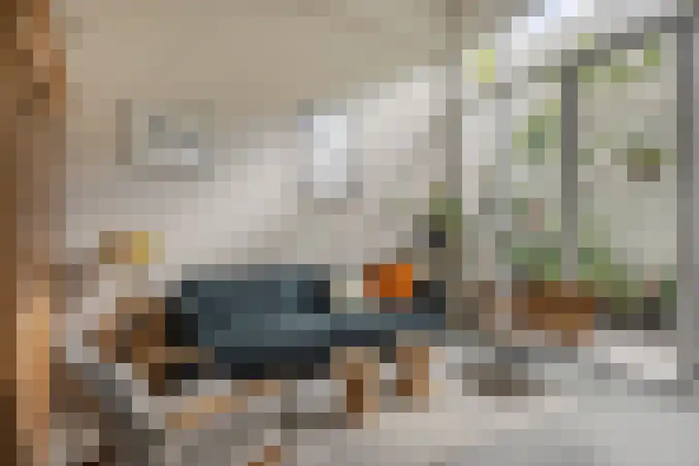 Kreynckstraat 11 Zutphen thumbnail 4