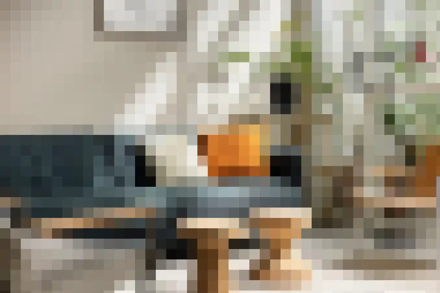 Kreynckstraat 11 Zutphen thumbnail 5