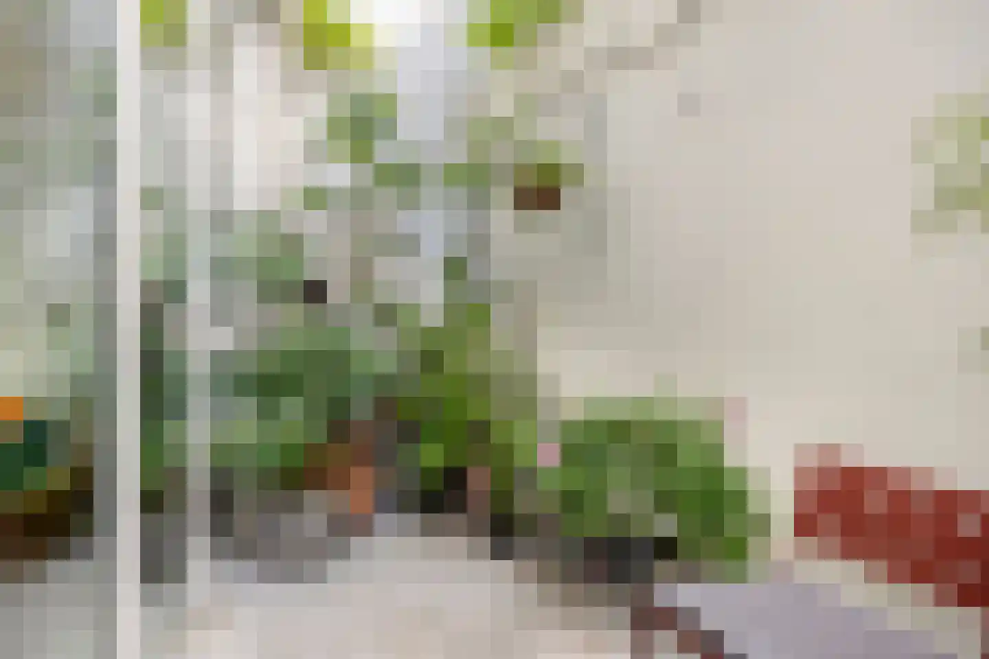 Kreynckstraat 11 Zutphen thumbnail 7