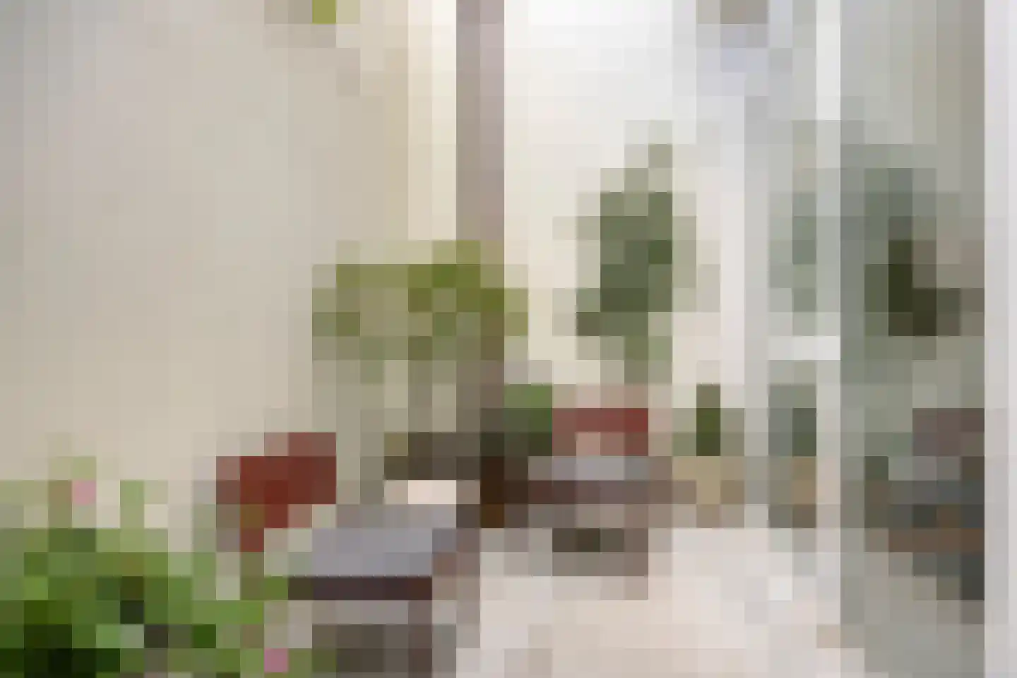 Kreynckstraat 11 Zutphen thumbnail 8