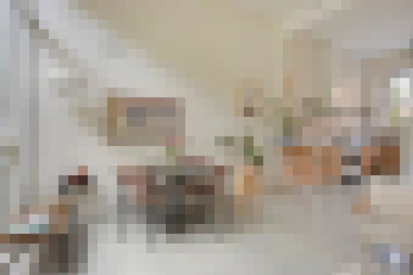 Kreynckstraat 11 Zutphen thumbnail 9