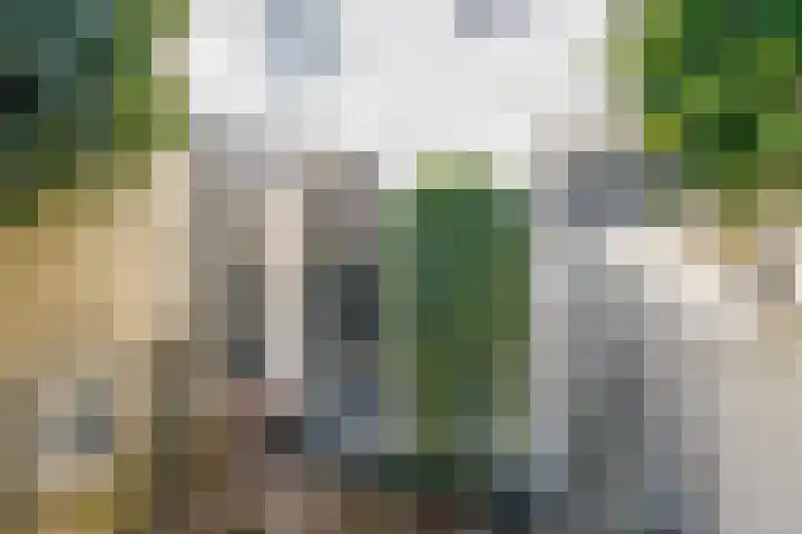 Kreynckstraat 9 Zutphen thumbnail 17