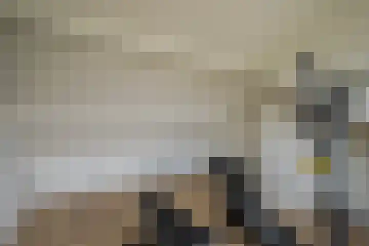 Kreytierstraat 31 Westervoort thumbnail 31