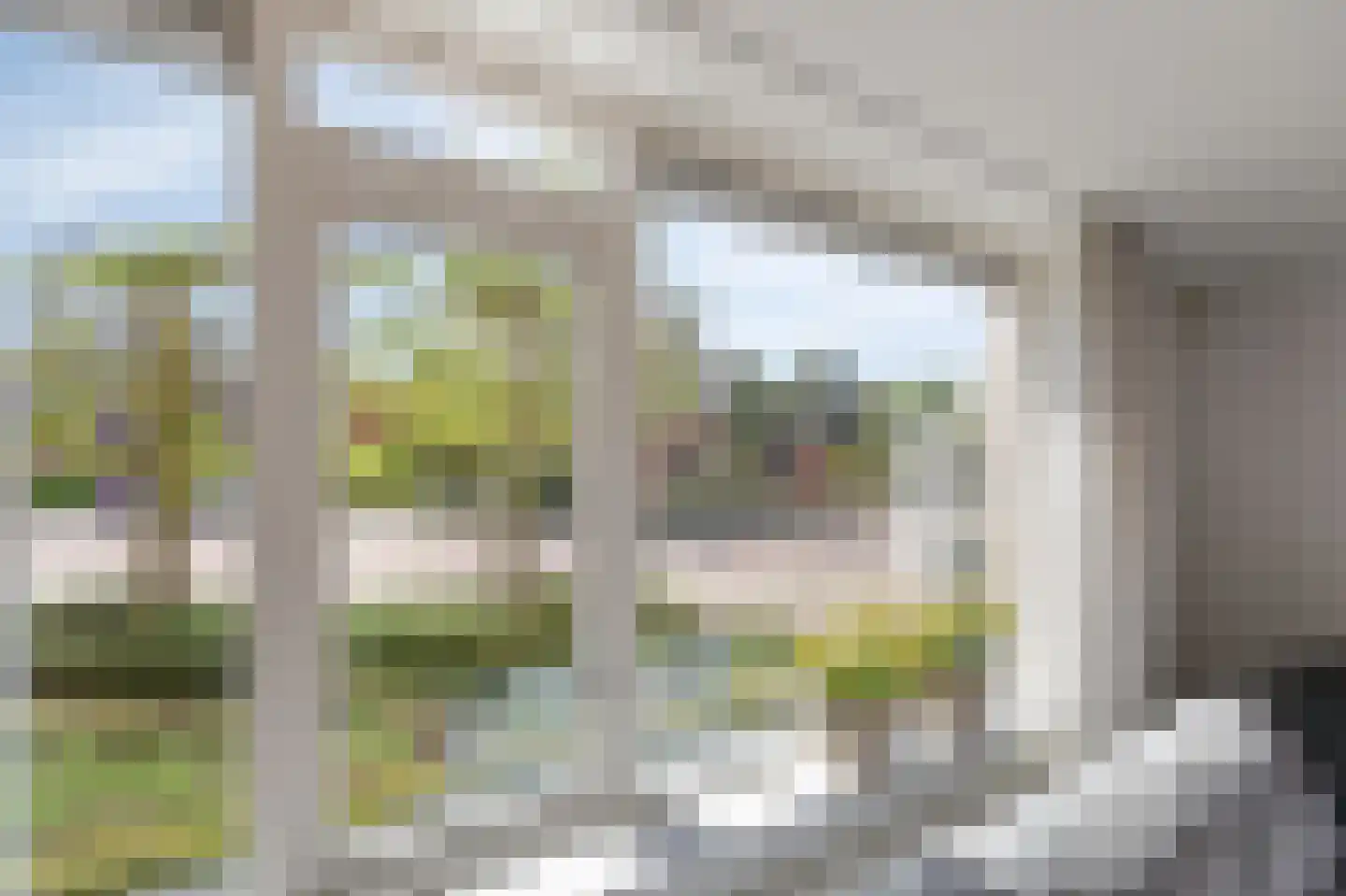 Kribbe 3 Didam thumbnail 23