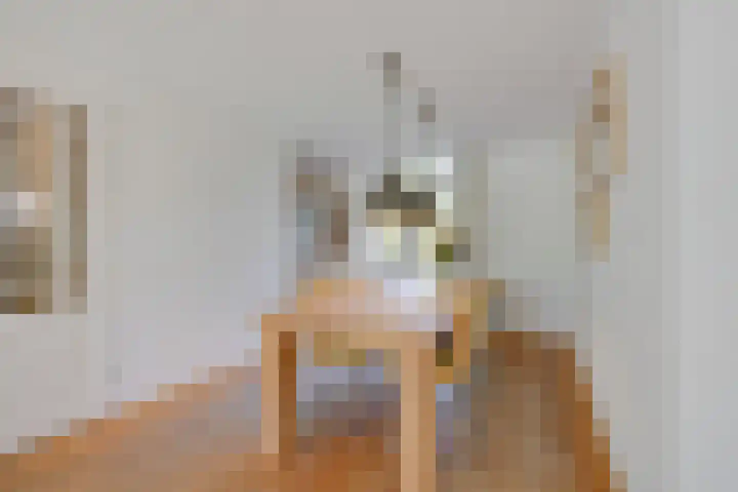Kribbe 3 Didam thumbnail 28