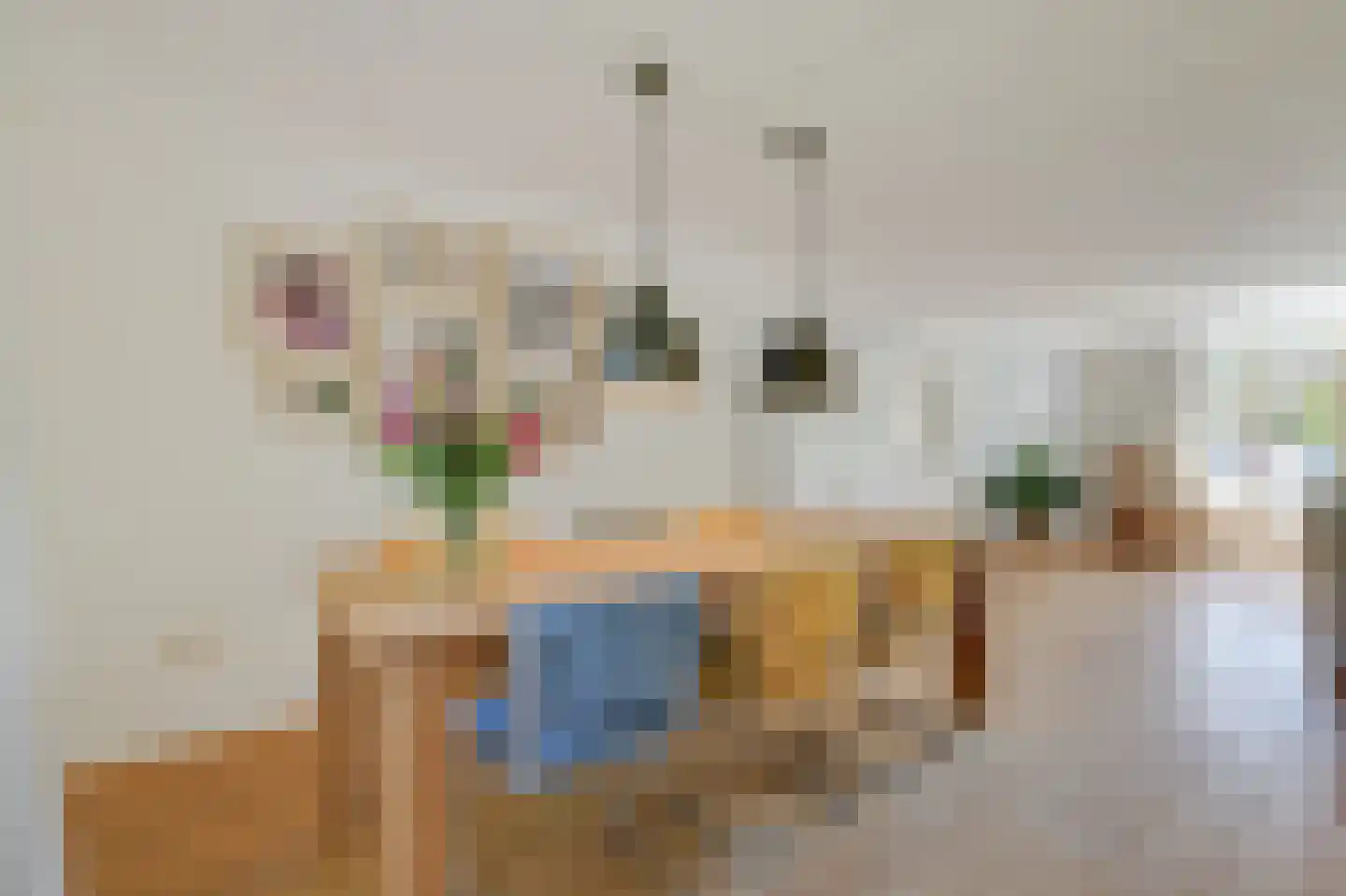 Kribbe 3 Didam thumbnail 29