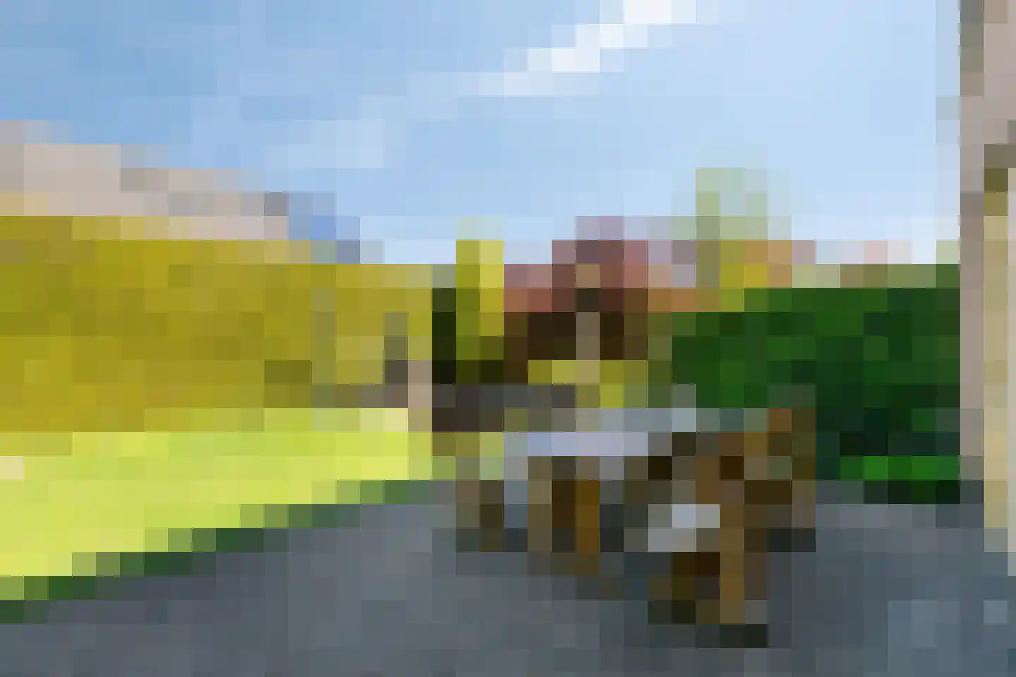 Kribbe 3 Didam thumbnail 37