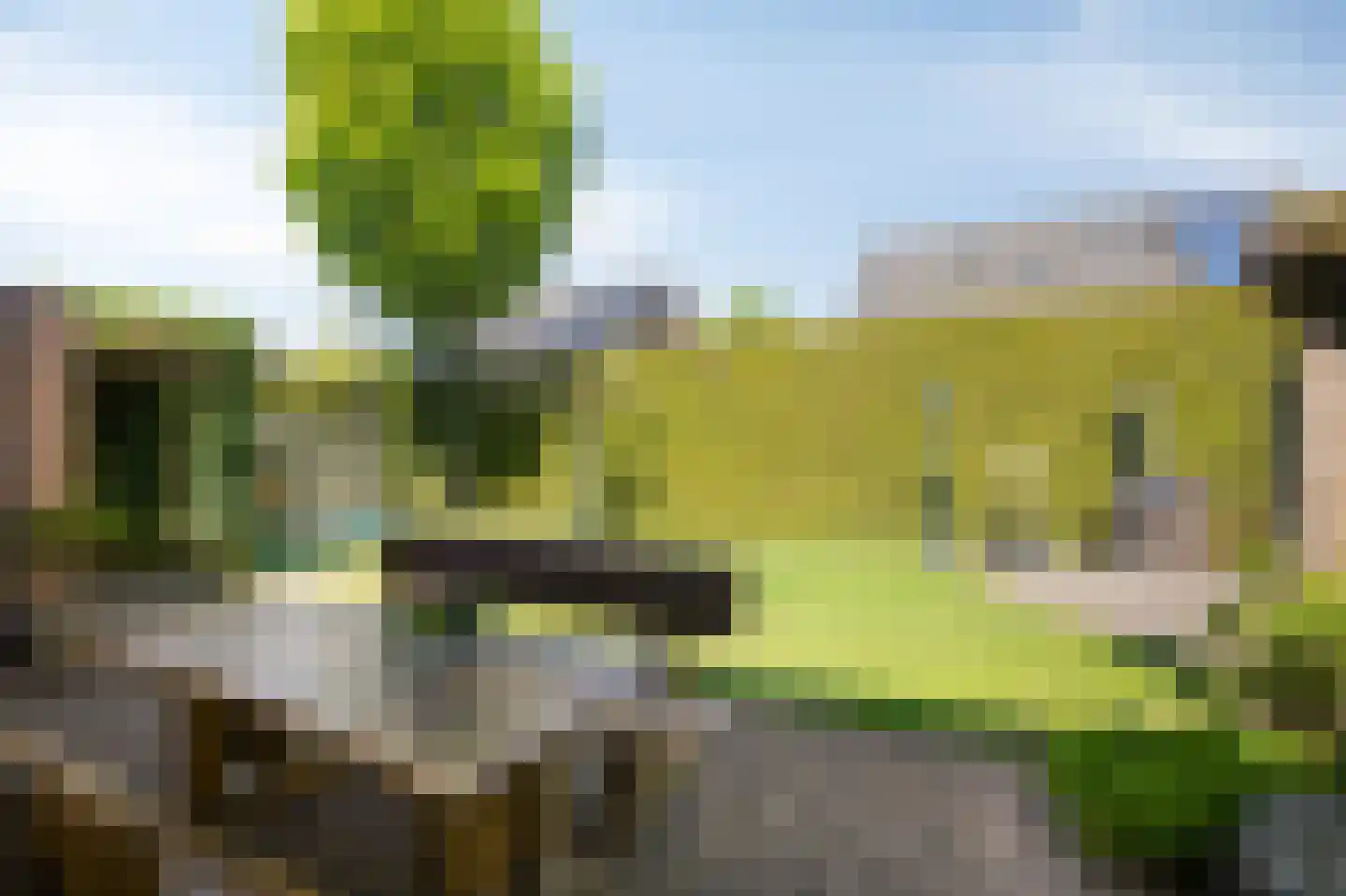 Kribbe 3 Didam thumbnail 38