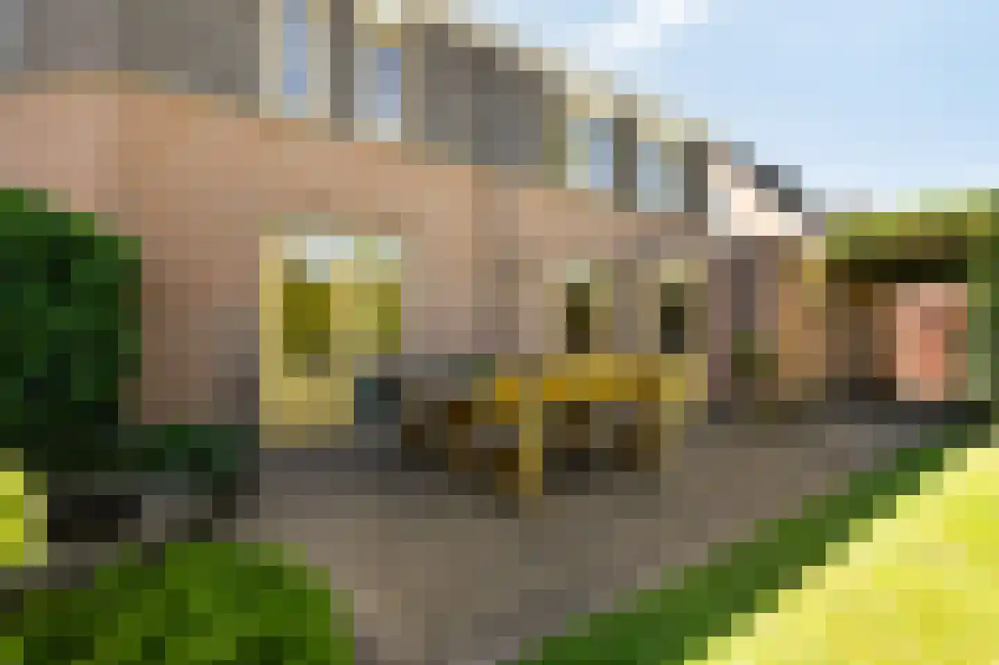 Kribbe 3 Didam thumbnail 42