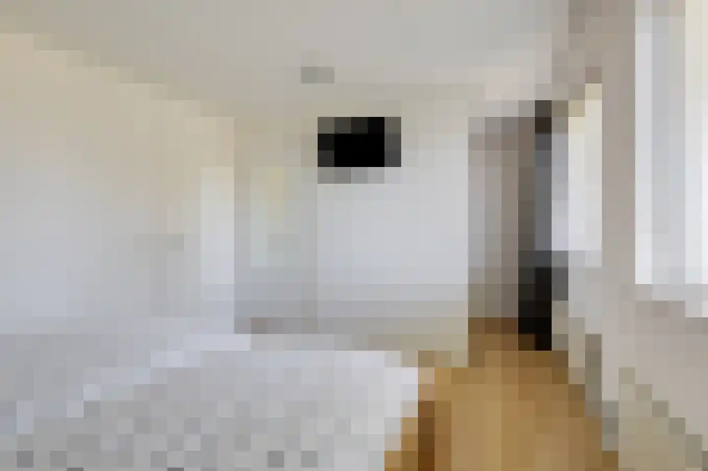 Kribbe 3 Didam thumbnail 47