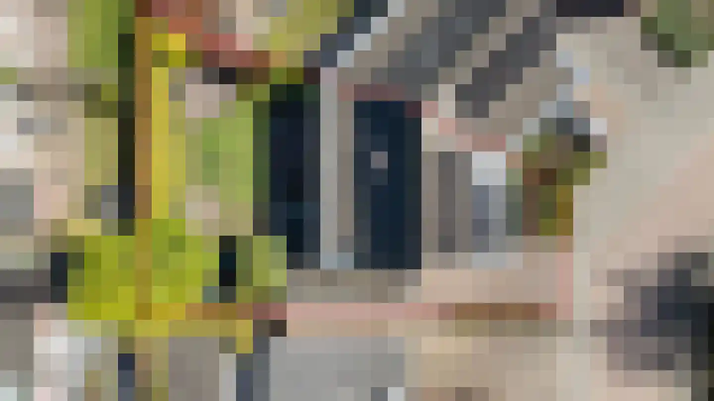 Kribbe 3 Didam thumbnail 7
