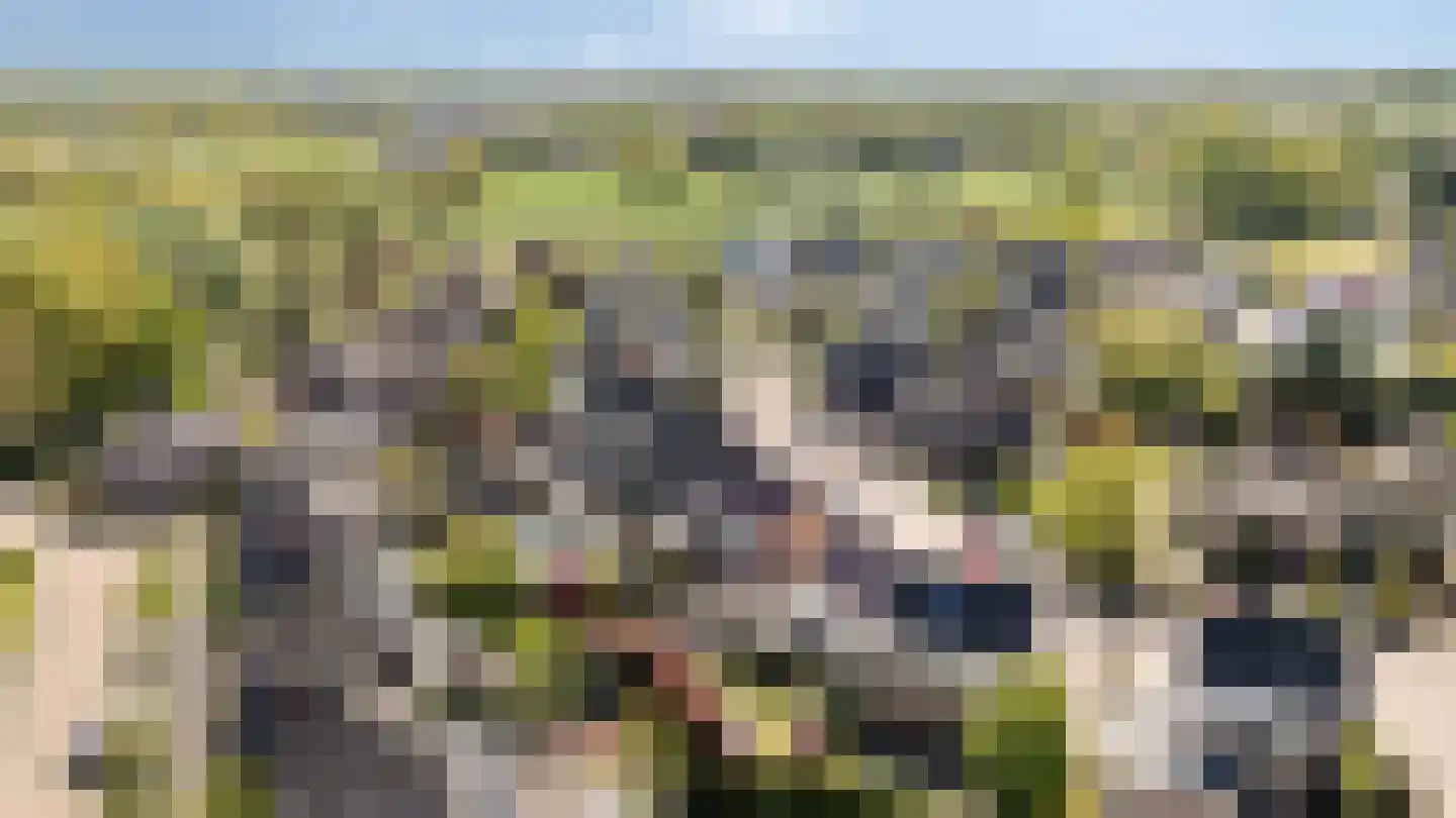 Kribbe 3 Didam thumbnail 8