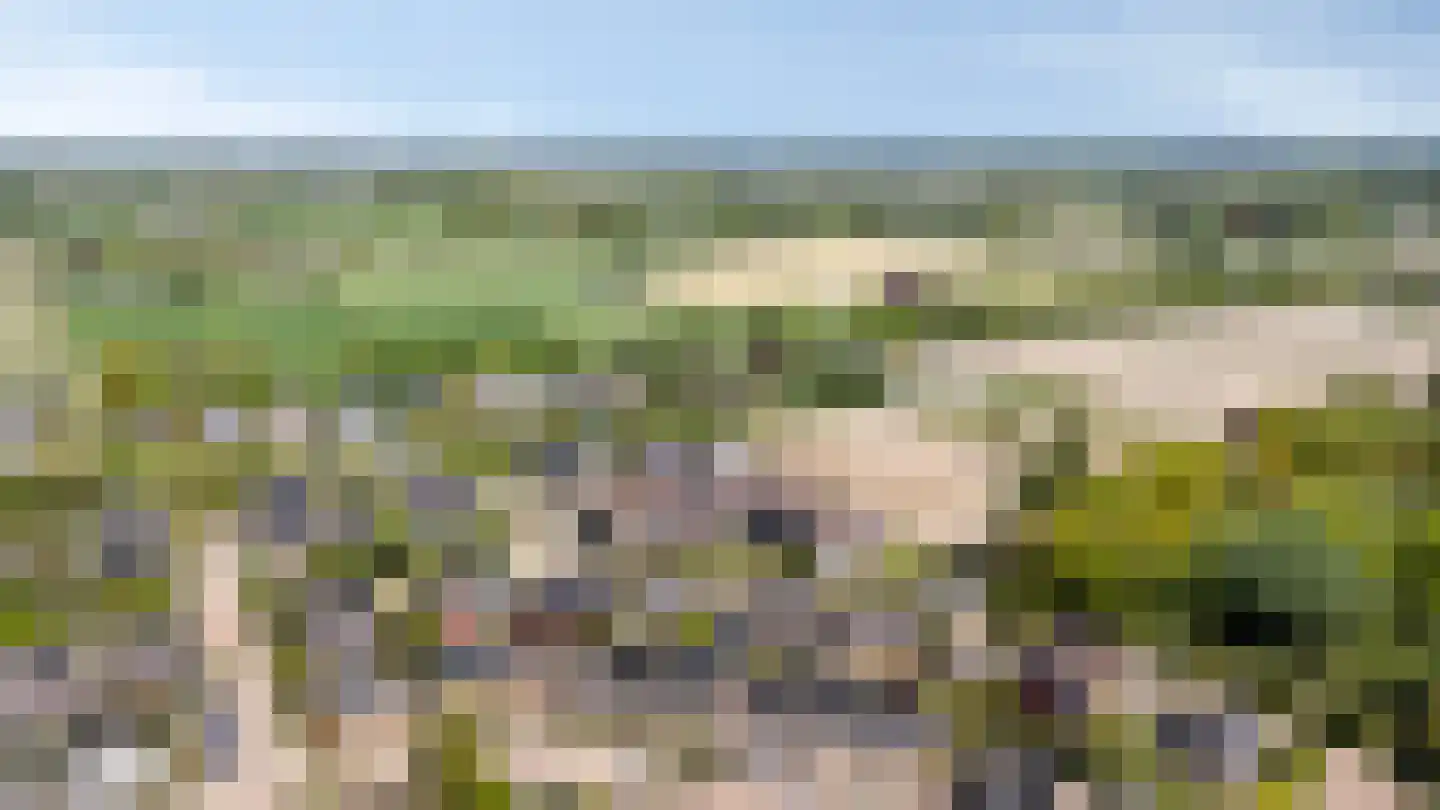 Kribbe 3 Didam thumbnail 9