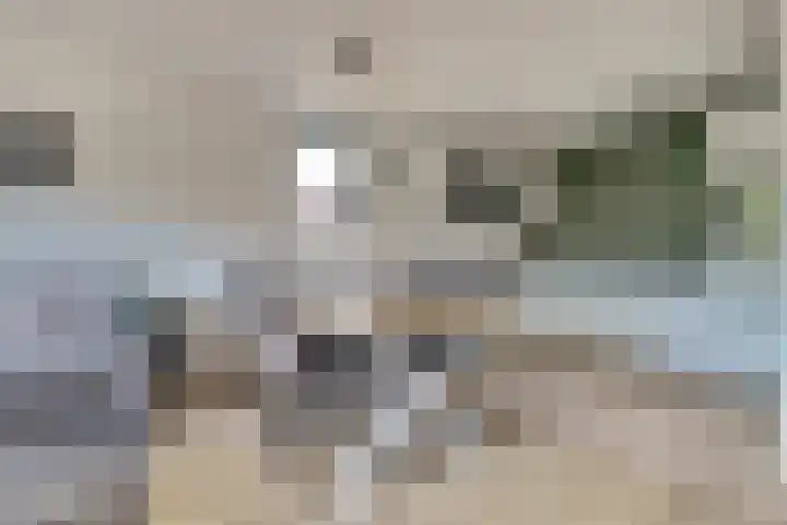 Kribbemonde 123 Nieuwegein thumbnail 10