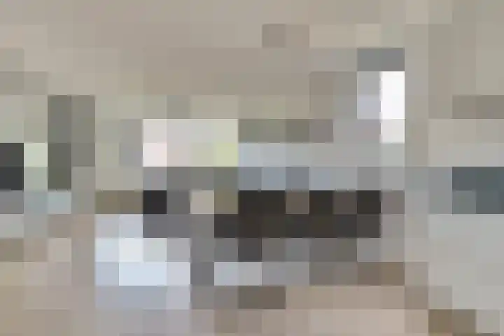 Kribbemonde 123 Nieuwegein thumbnail 11