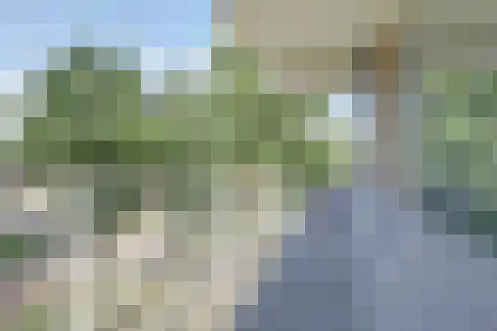 Kribbemonde 123 Nieuwegein thumbnail 22