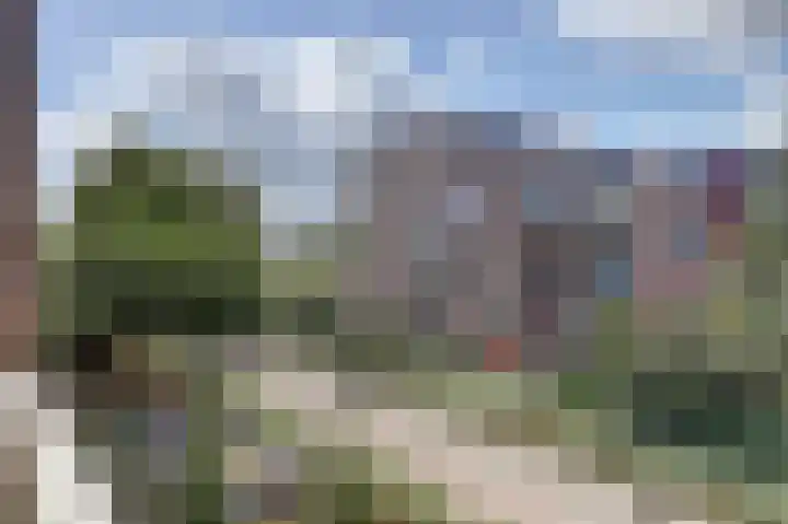 Kribbemonde 123 Nieuwegein thumbnail 24