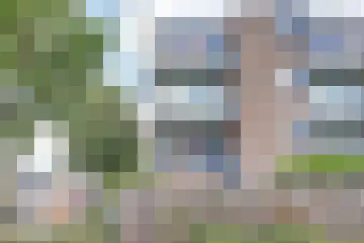 Kribbemonde 123 Nieuwegein thumbnail 25