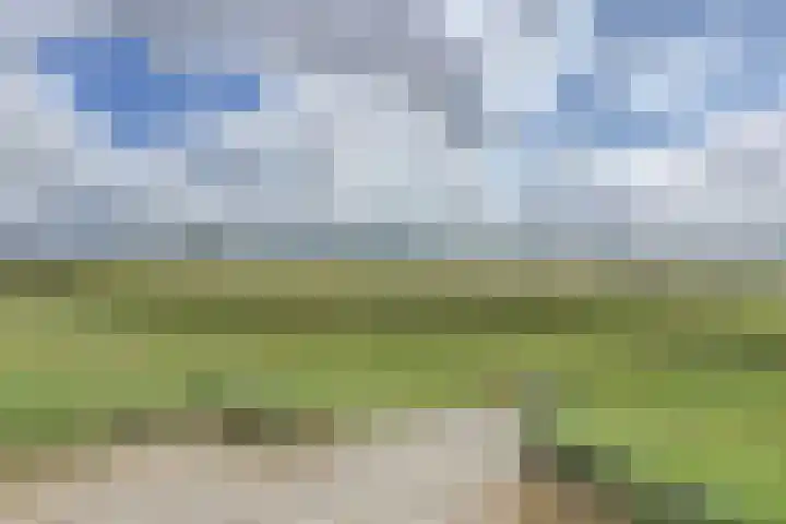 Kribbemonde 123 Nieuwegein thumbnail 27