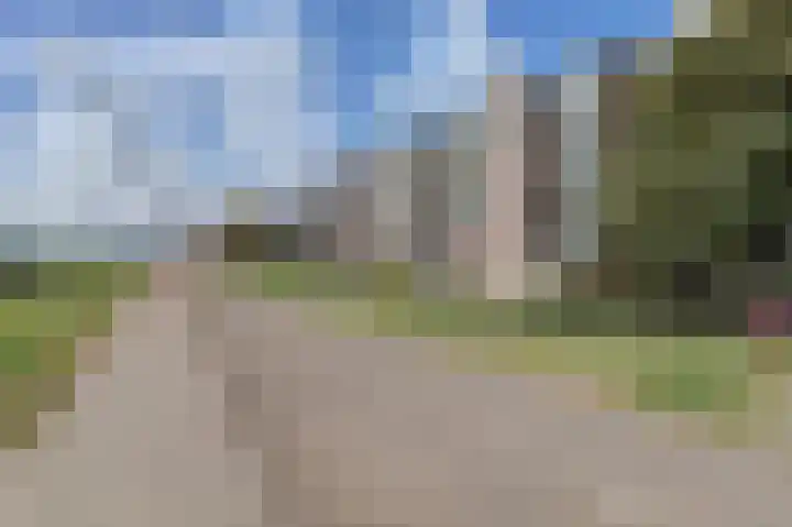 Kribbemonde 123 Nieuwegein thumbnail 29