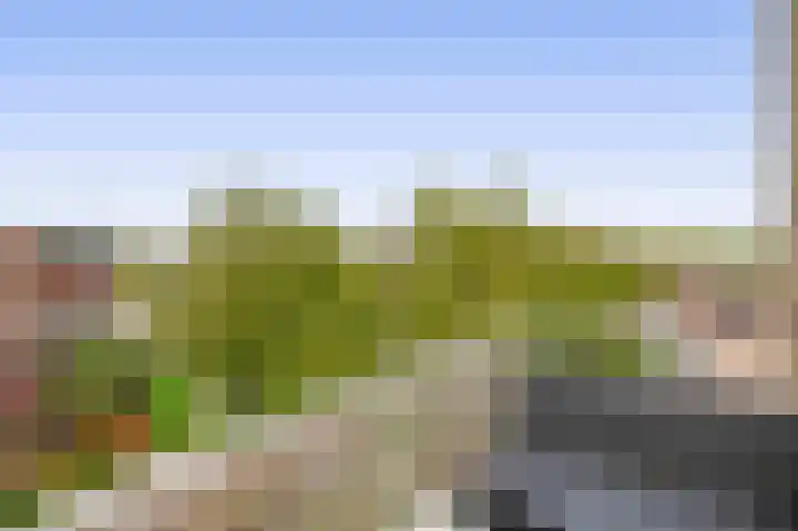 Kribbemonde 127 Nieuwegein thumbnail 18