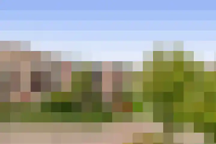 Kribbemonde 127 Nieuwegein thumbnail 19