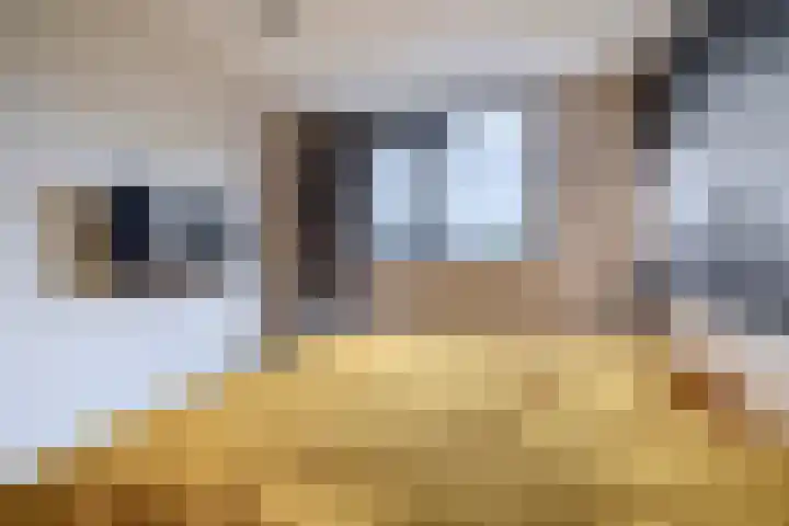 Kribbemonde 127 Nieuwegein thumbnail 22
