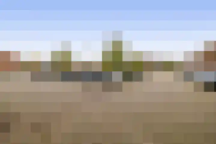 Kribbemonde 127 Nieuwegein thumbnail 29