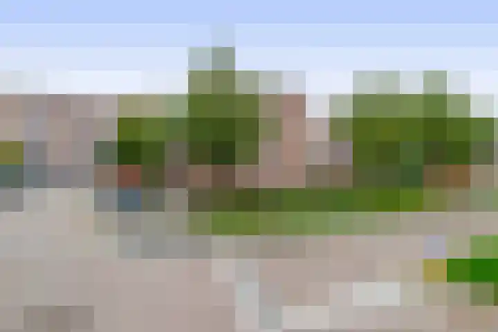 Kribbemonde 127 Nieuwegein thumbnail 30