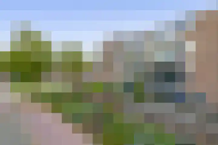 Kribbemonde 127 Nieuwegein thumbnail 31