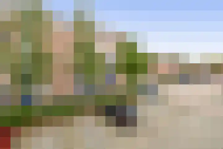 Kribbemonde 127 Nieuwegein thumbnail 32