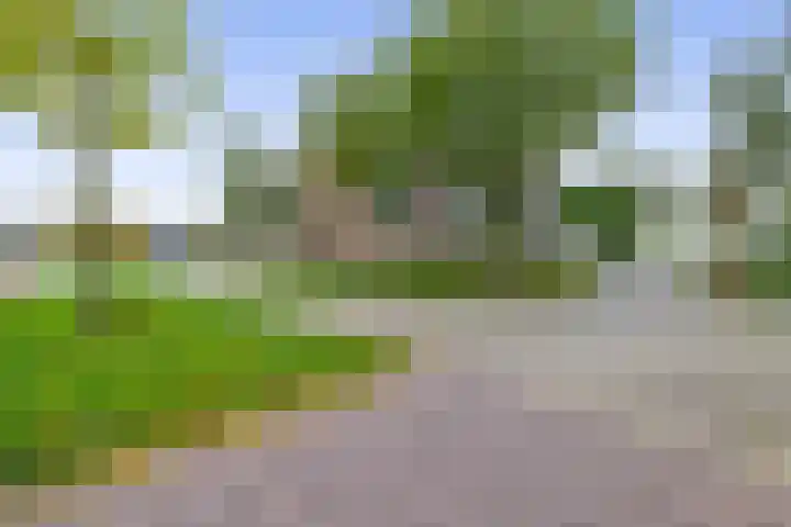 Kribbemonde 127 Nieuwegein thumbnail 33