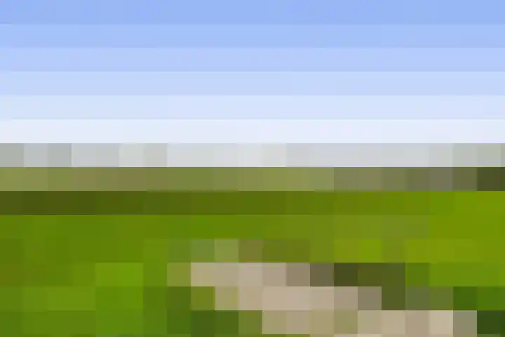 Kribbemonde 127 Nieuwegein thumbnail 34