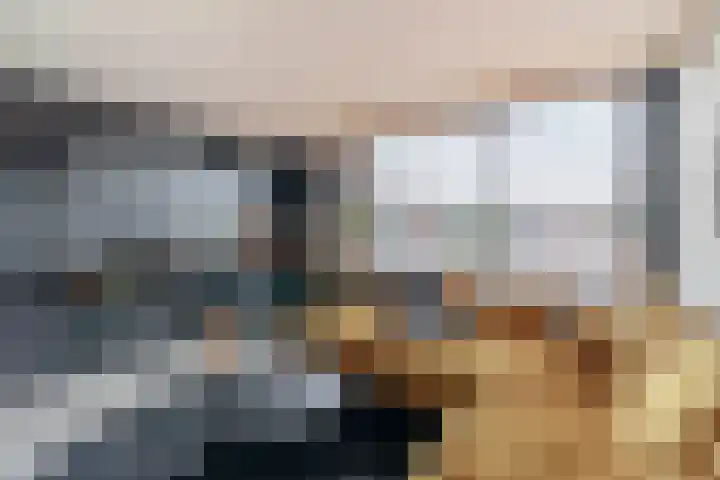 Kribbemonde 127 Nieuwegein thumbnail 4
