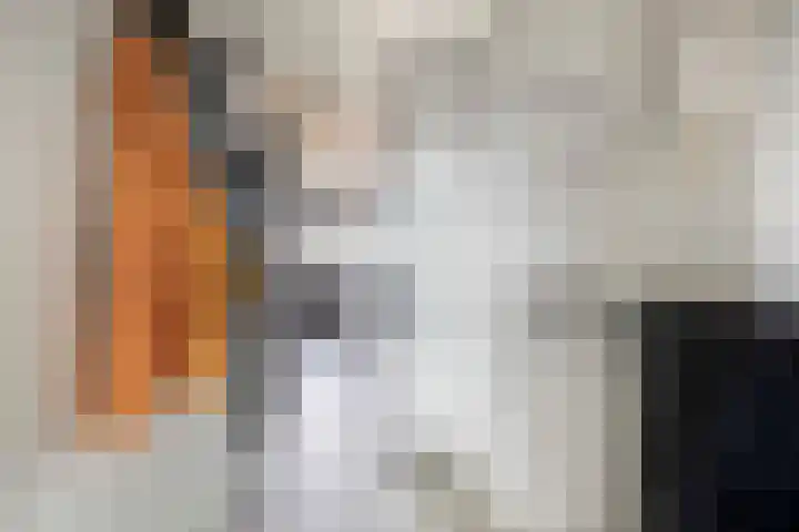 Kribbemonde 127 Nieuwegein thumbnail 9